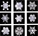 Christmas Snowflakes Stickers Christmas Snowflakes Stickers